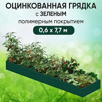 Грядка зеленая (0,6 х 7,7)